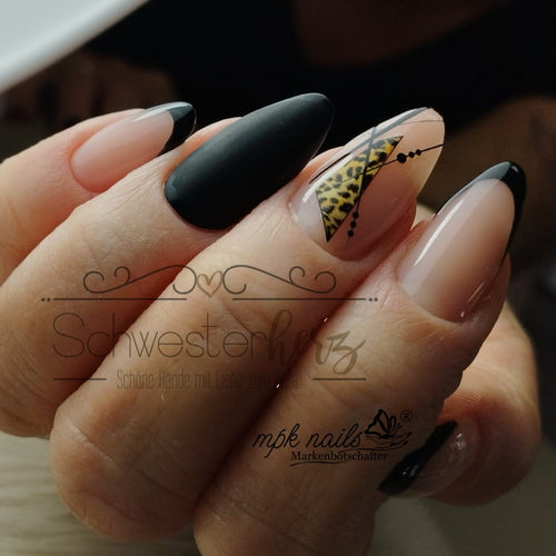 Bild 1 in Galerieansicht laden. 556
